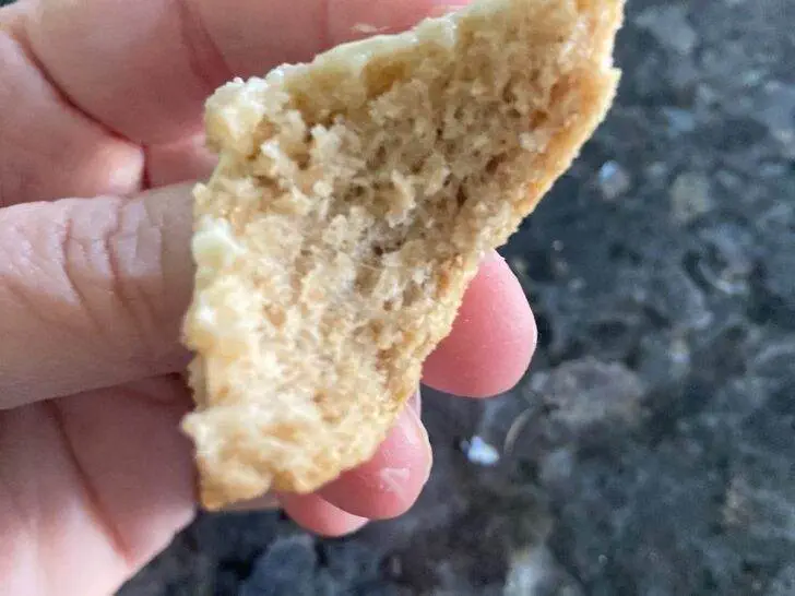 Classic Wheat Bread from Scratch (from Out of the Box Baking.com)