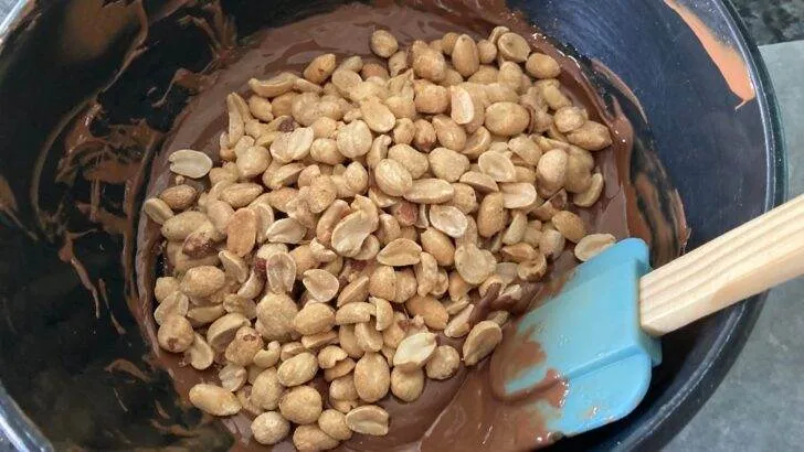 Chocolate Covered Peanuts from Out of the Box Baking.com