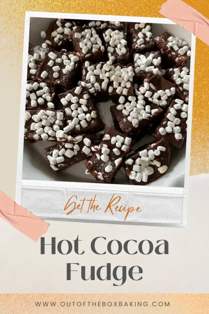Hot Cocoa Fudge from Out of the Box Baking.com